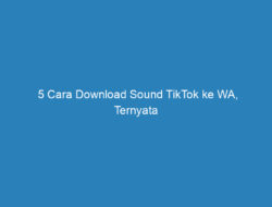 5 Cara Download Sound TikTok ke WA, Ternyata Semudah Ini!
