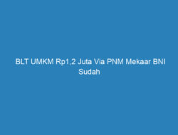 BLT UMKM Rp1,2 Juta Via PNM Mekaar BNI Sudah Cair, Segera Cek di Link Banpresbpum.id Untuk Lihat Daftar Penerima!