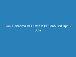 Cek Penerima BLT UMKM BRI dan BNI Rp1,2 Juta Bulan Mei Lengkap Seluruh Indonesia