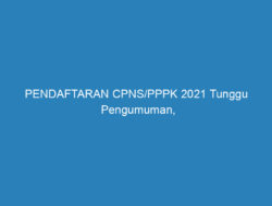 PENDAFTARAN CPNS/PPPK 2021 Tunggu Pengumuman, Siapkan Dokumen Ini