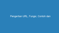 Pengertian URL, Fungsi, Contoh dan Bagian-Bagiannya